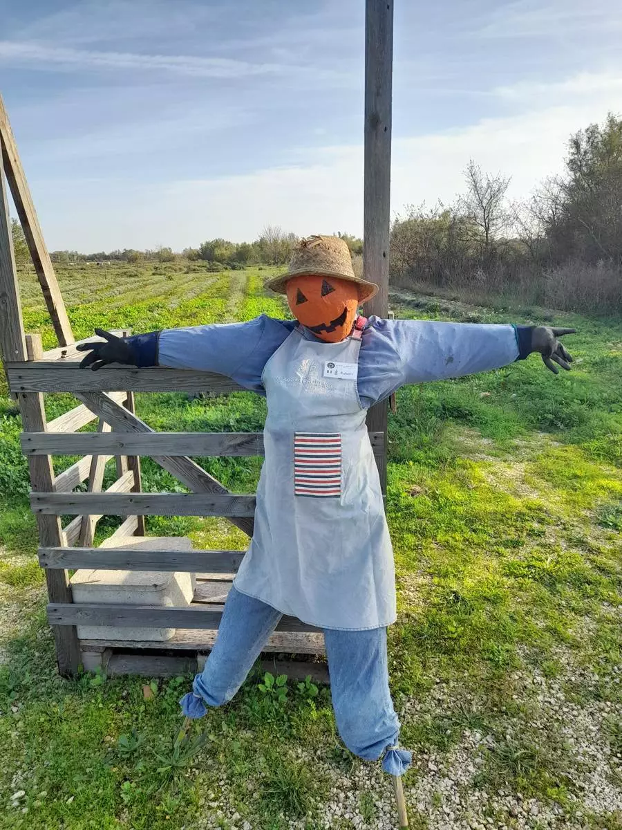 Halloween au Mas en Provence