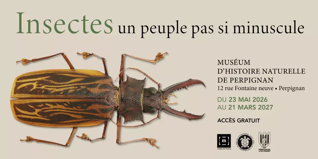 Les Insectes, un Peuple Pas Si Minuscule