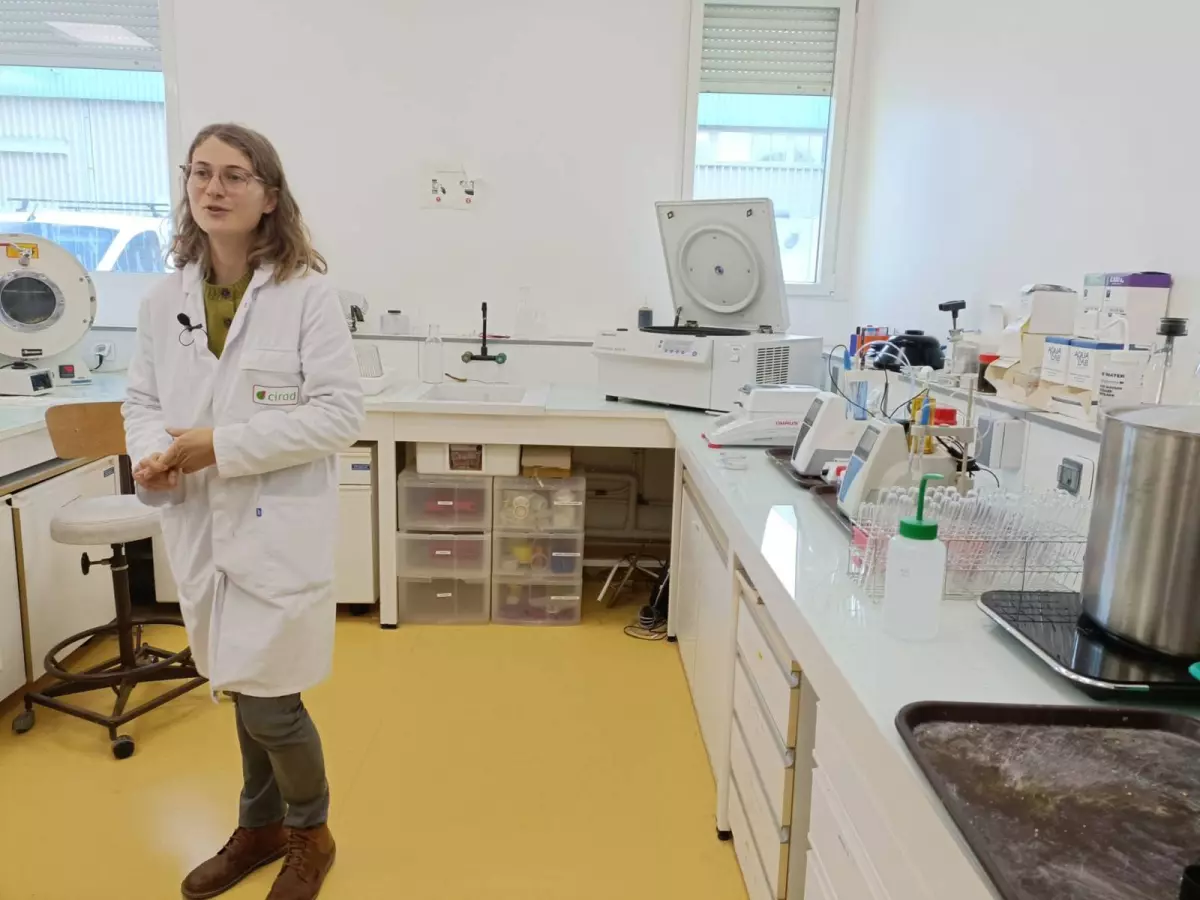 Visite de la Plateforme Agroalimentaire du Cirad : percez les secrets de vos aliments du quotidien