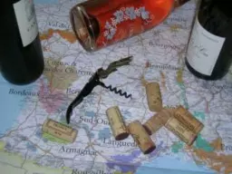 Week-End Œnologie : À la Découverte des Vignobles de France