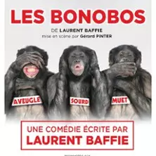 Les Bonobos - Le Grand Théâtre 3T, Toulouse