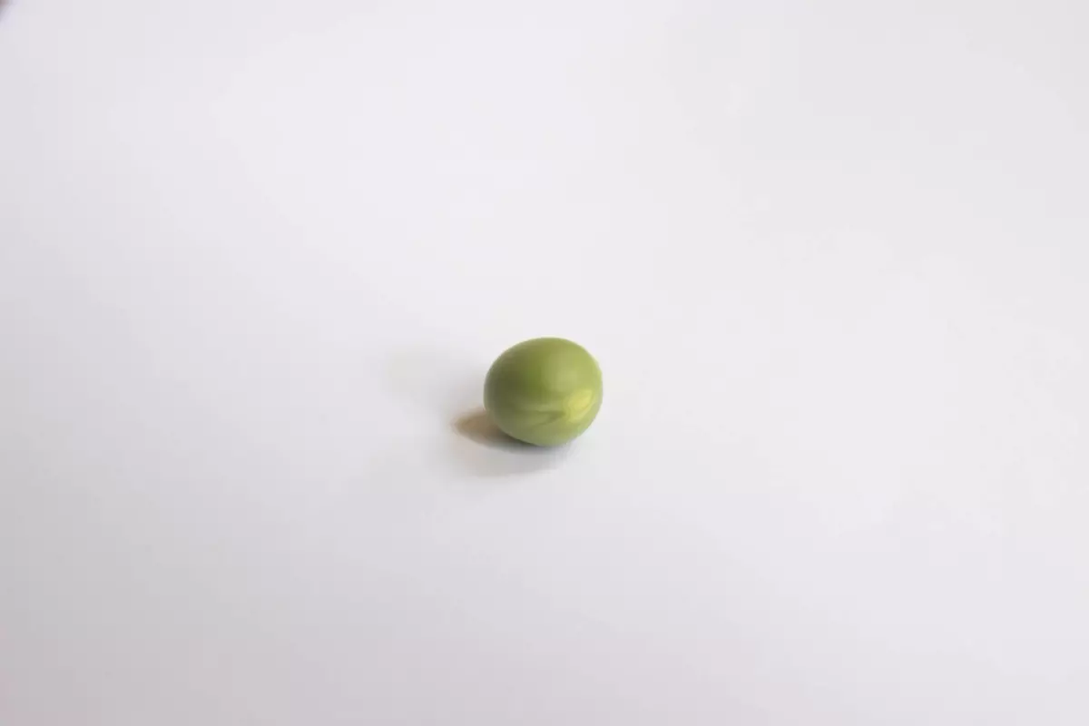 Théâtre - Géopolitique du petit pois
