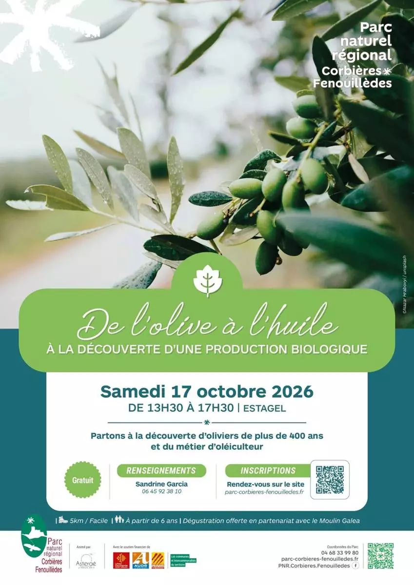 De l'Olive à Lhuile : Partons à la Découverte d'Une Production Biologique