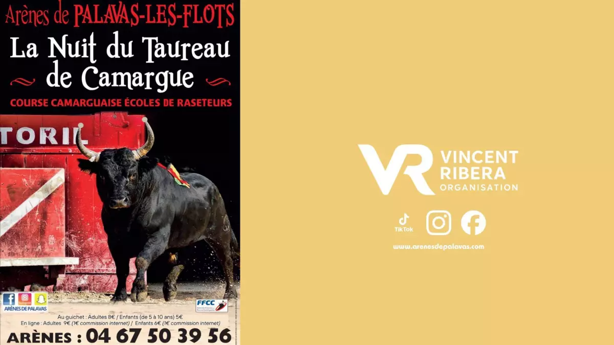Course Camarguaise - Ecole Taurine - Palavas 28 Octobre