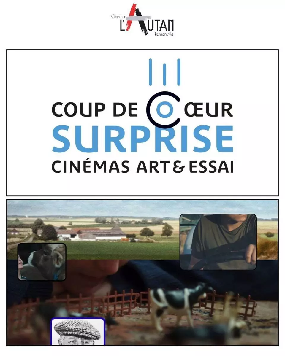 Film Surprise Coup de Coeur Afcae