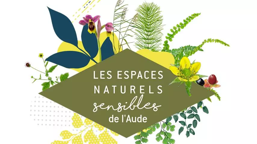 Ens - à la Recherche de la Crapaudine