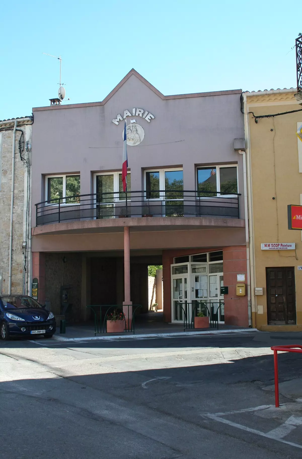 Ciné-Club - le Règne Animal