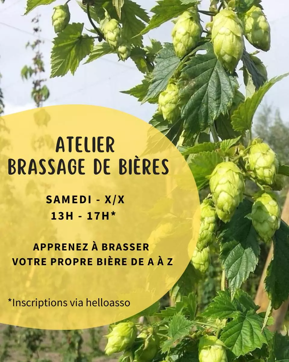 Brassage de bière