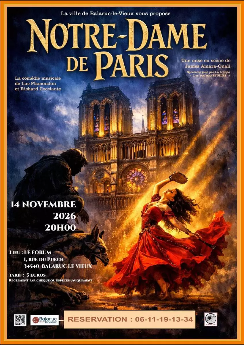 Notre Dame de Paris - les 100 000 Étoiles