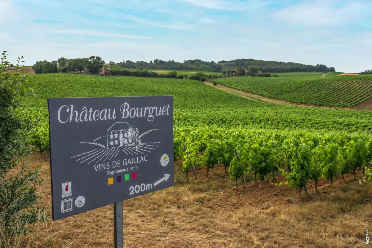 Chai mon Vigneron au Château Bourguet