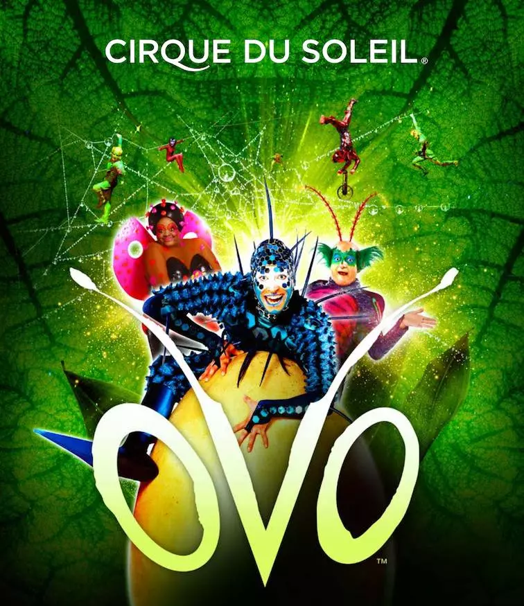 Ovo – le Cirque du Soleil