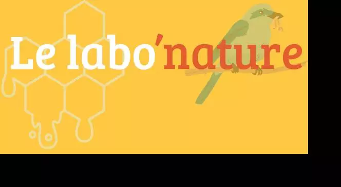 Le Labo’nature