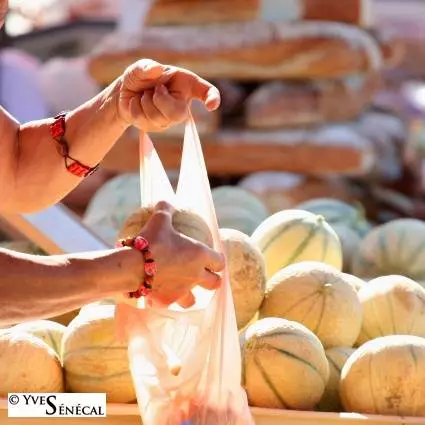 Marché de plein vent de Pujaudran
